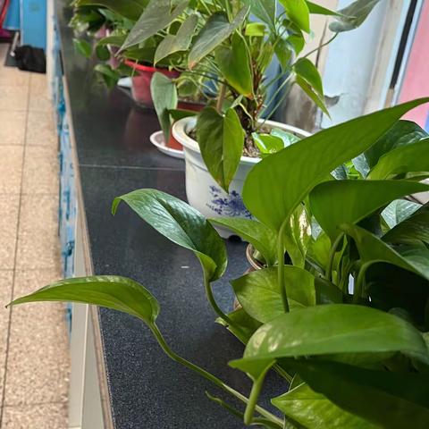 班级文化育人，幸福教室润心