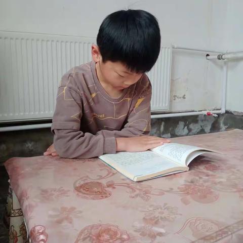 【依庄教育】四名创建【名生小达人】