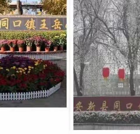 “双减背景下，德育做加法 ”王岳小学德育工作纪实