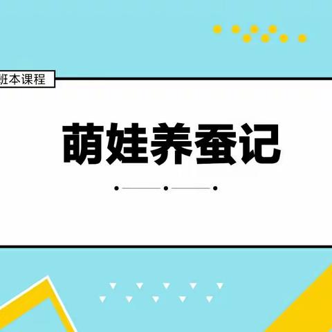 文石幼儿园大班班本课程“萌娃养蚕记”