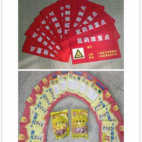 开展冬季灭鼠工作