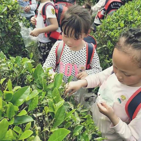 春游美好的瞬间