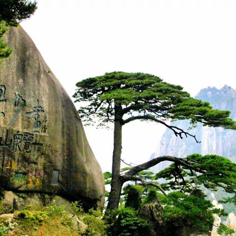 2022重游黄山