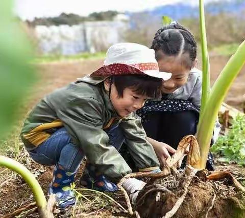 劳动教育，从我做起——陈仓路小学一年级劳动教育实践活动