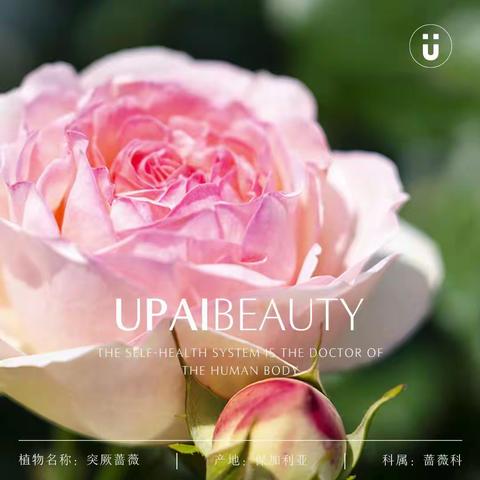 U牌：肌肤衰老的误区有什么，你知道吗