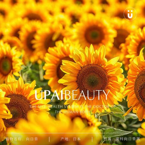 U牌：学会科学防护，拥有健康美好生活