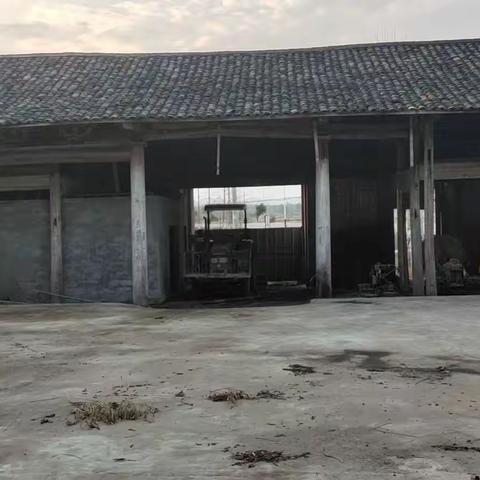 寻找野生六O、七O。