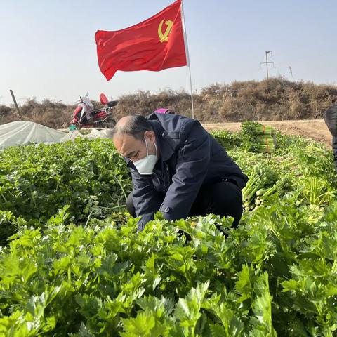 我为群众办实事，助农销菜暖人心