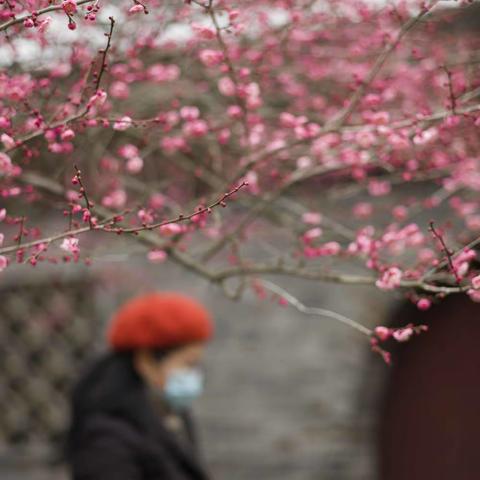 无意苦争春，一任群芳妒。