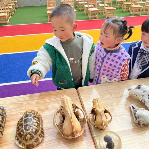 假日城市爱丁堡幼儿园蒙小一班的精彩一周