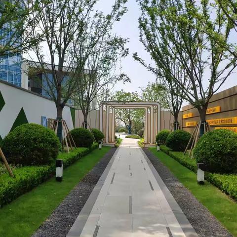 长三角科大亨芯研究院走园——八月