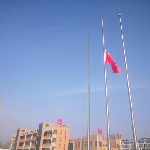 春暖花开日🌺战“疫”胜利时✌