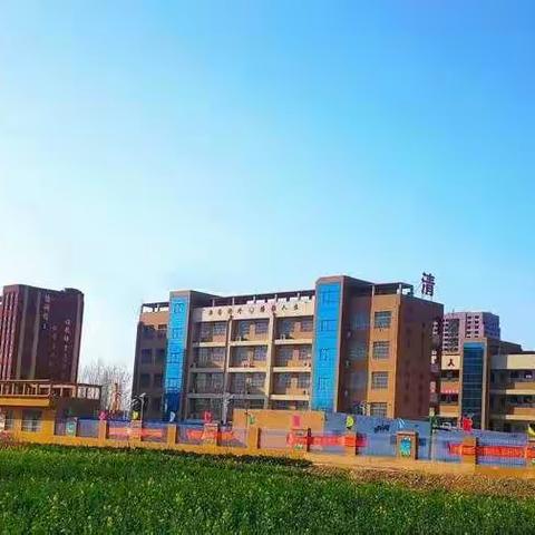 拥抱希望，不负春光🌻