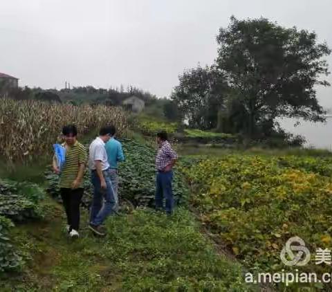 钱塘江治理婺城段堤防加固工程项目建设指挥部举行第一次工作例会