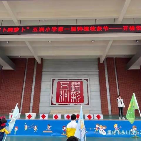 五洲小学第一届种植收获节开拔了————萝卜啊萝卜~