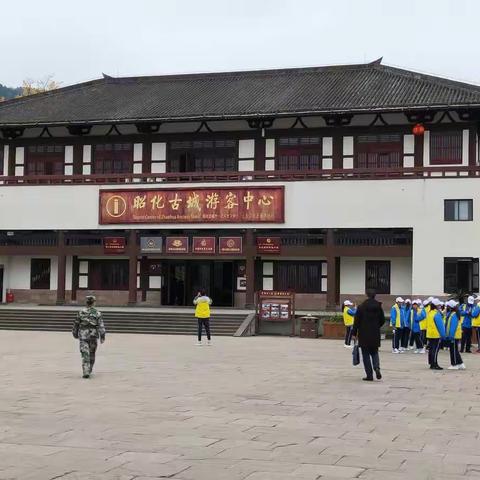 忘忧草的美篇
