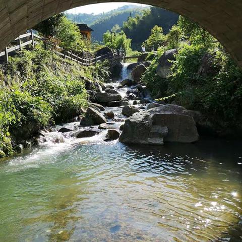 202106九山半水半分田（上）