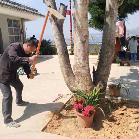 洒巴苴小学植树节活动美篇