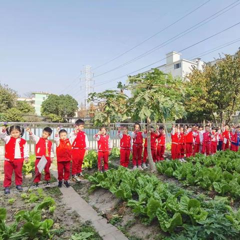 【快乐周五～体育大循环】启发中英文幼儿园🍃大四班