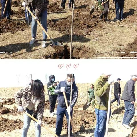 青春心向党 建功新时代—宝力根花苏木团委开展义务植树主题团日活动