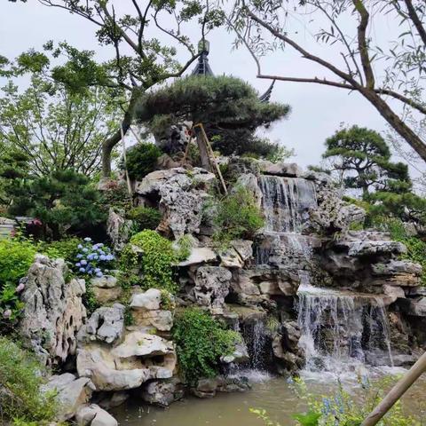 花博会--江苏园