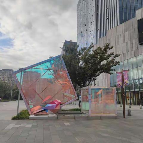 上海置汇 · 旭辉广场生态艺术公园（10月）