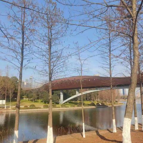 河西生态公园（一月）