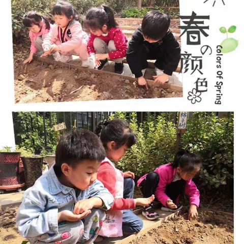 播种日‖┋我们用双手播种生命，用生命陪伴生命