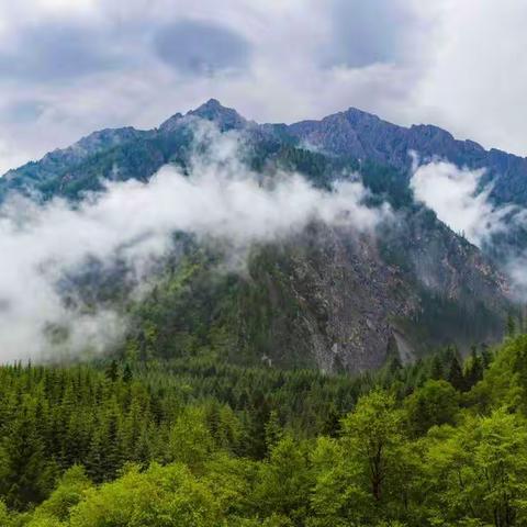 九寨沟-长海-原始森林景区20220711