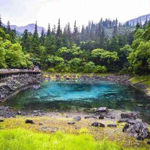 九寨沟-五彩池（2022年7月11日拍摄）