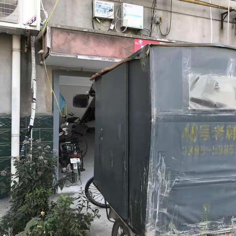 啄木鸟随手拍迅速行动，积极整改