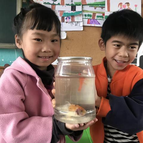 我的可可爱爱的小伙伴