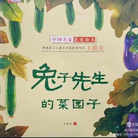 《兔子先生的菜园子》