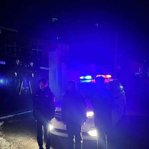 水稻乡全面开展禁燃禁放宣传巡逻活动