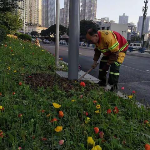 江北区园林绿化管理所城市提升春季行动——4月7日工作纪实