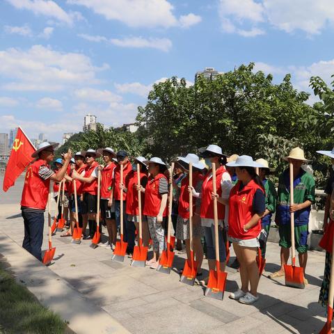 不畏烈日连续奋战清淤还绿  绿化所党员先锋队积极行动