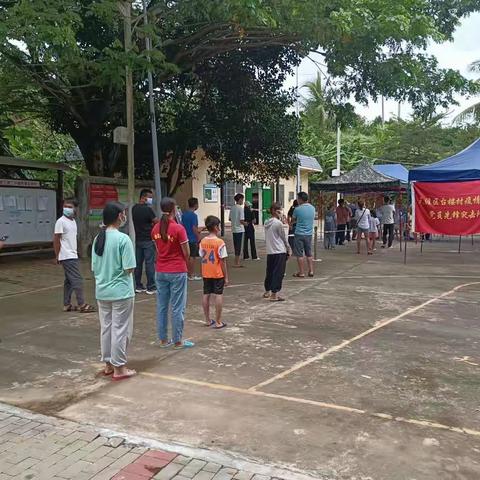 天涯区台楼村全力以赴投入抗疫防控工作|解决村民农产品滞销问题