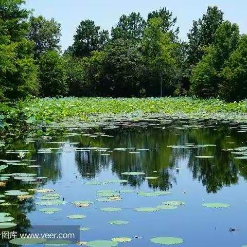 岔路河镇中心小学“小手拉大手”活动