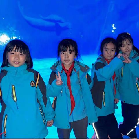 2023年渝北区金港国际实验小学校“探寻海底之谜，争做海洋小卫士”秋季研学主题活动