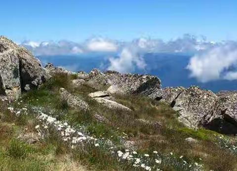 旅行与发现 - 徒步澳洲最高峰 Mt Koscuiszko