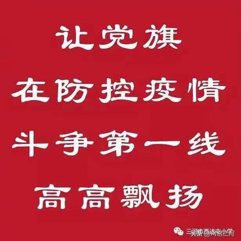 打赢防控战“疫” 我们党员在行动