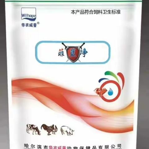 非洲猪瘟可防、可控、不可治，最新推出：预防囊膜病毒型疾病，请用【菲蓝净】