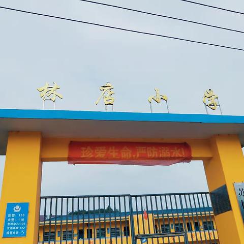 林店小学防溺水安全教育系列活动