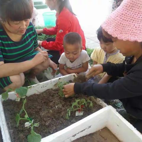 我是种植小能手