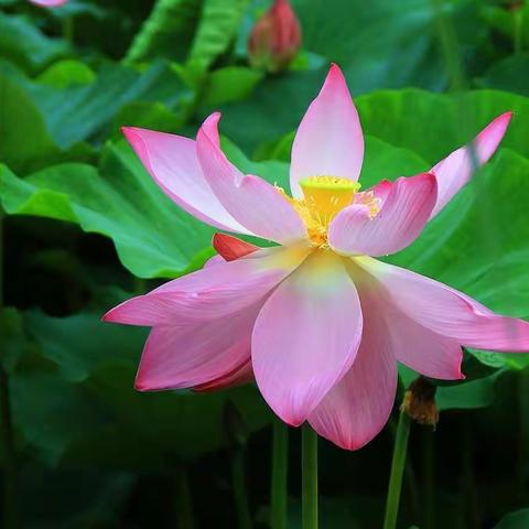 2023年寒假学生安全致家长的一封信