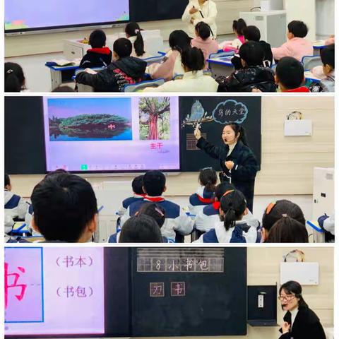 “教”无边，“研”无尽——记滨河实验学校小学语文组教研活动