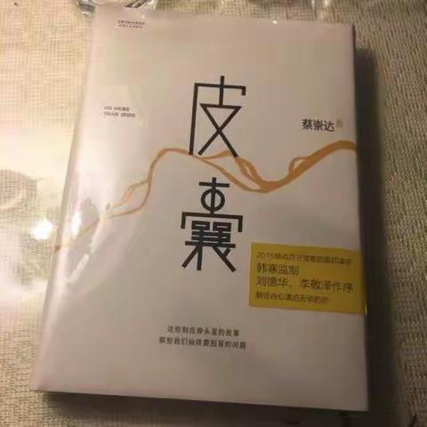 肉身与灵魂——读《皮囊》有感
