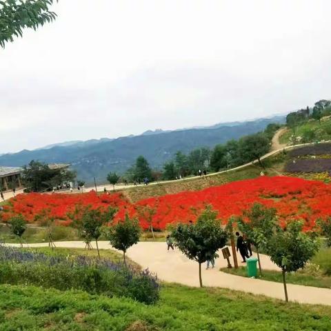 齐山赞