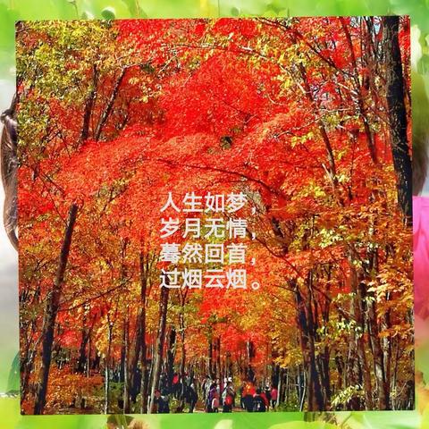 人生感悟
