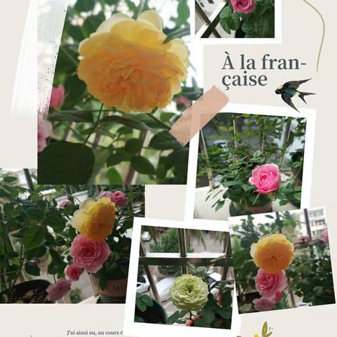 创造舒适的居家环境，让家人安心做好自我防护